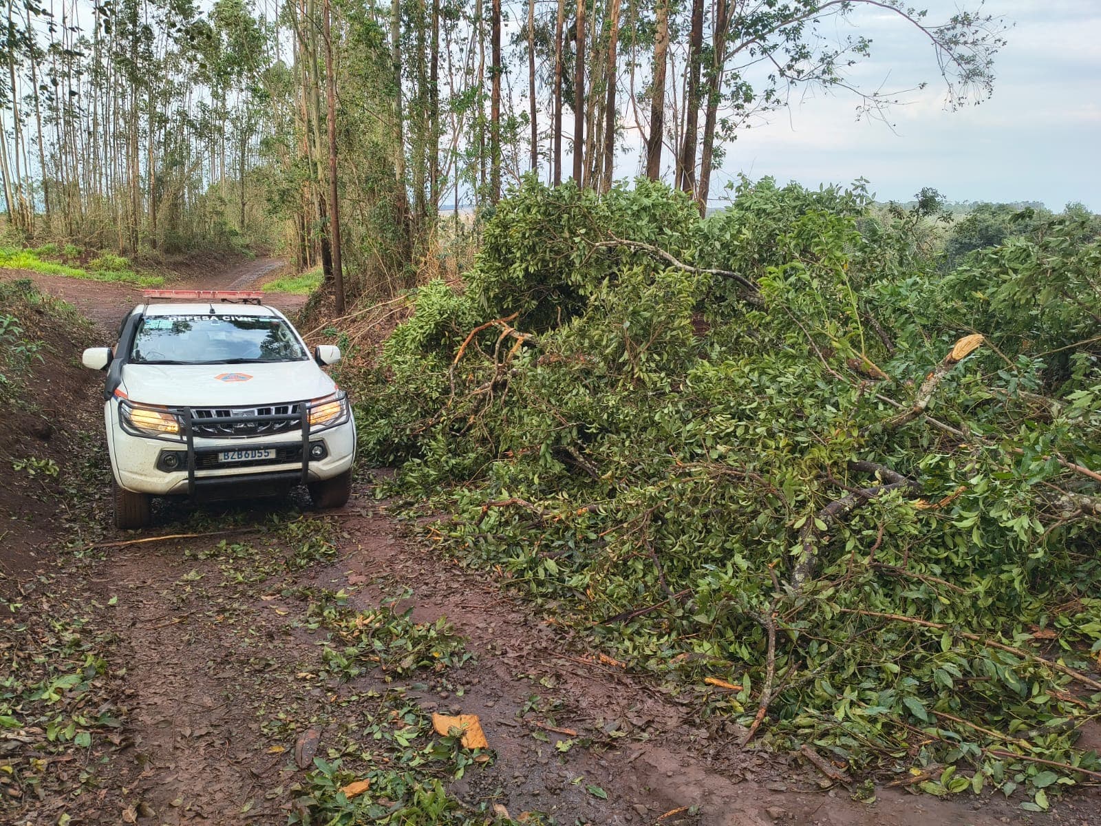 Imagem 1 da matéria Vendaval e chuva deixam estragos em diferentes pontos de Avaré e mobilizam Defesa Civil