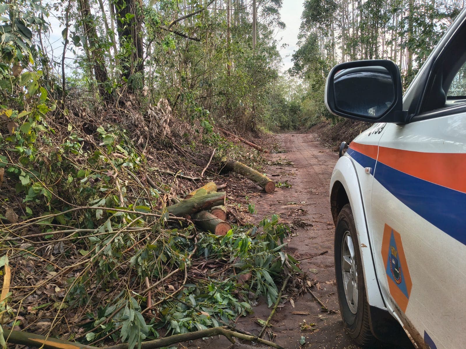 Imagem 2 da matéria Vendaval e chuva deixam estragos em diferentes pontos de Avaré e mobilizam Defesa Civil