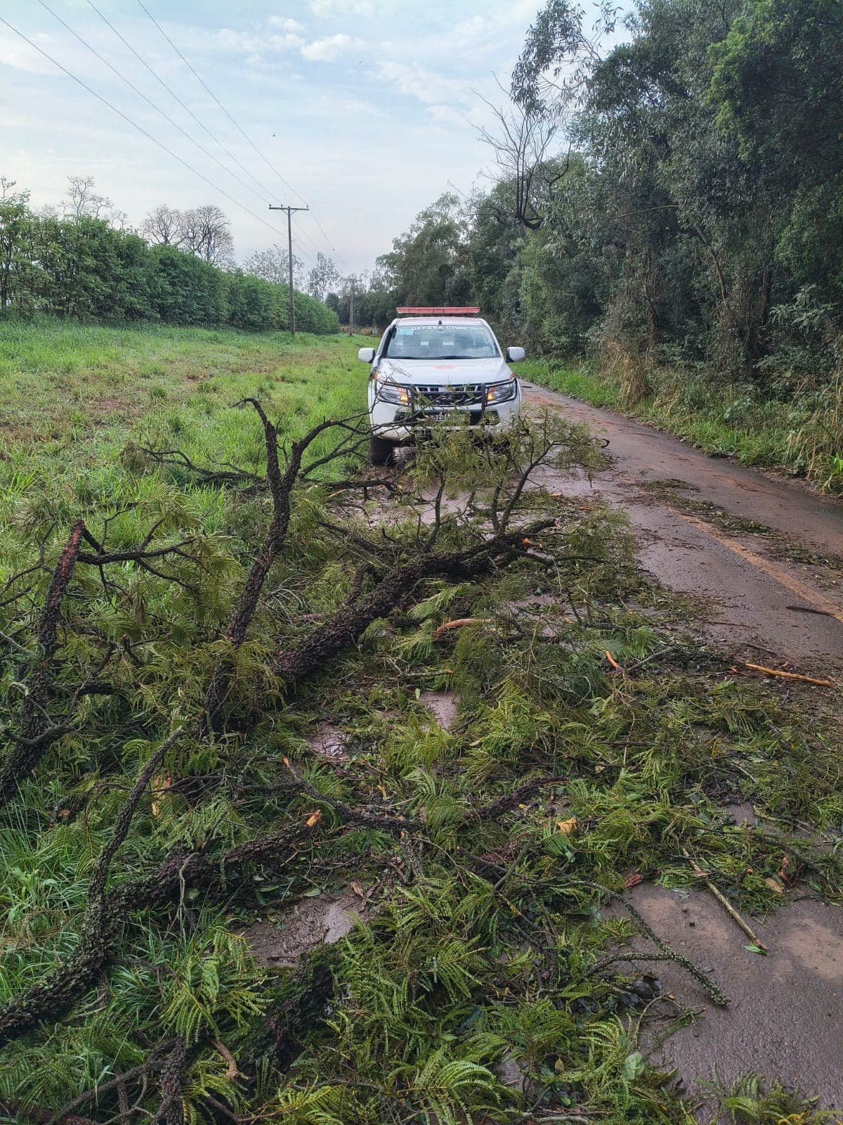 Imagem 3 da matéria Vendaval e chuva deixam estragos em diferentes pontos de Avaré e mobilizam Defesa Civil