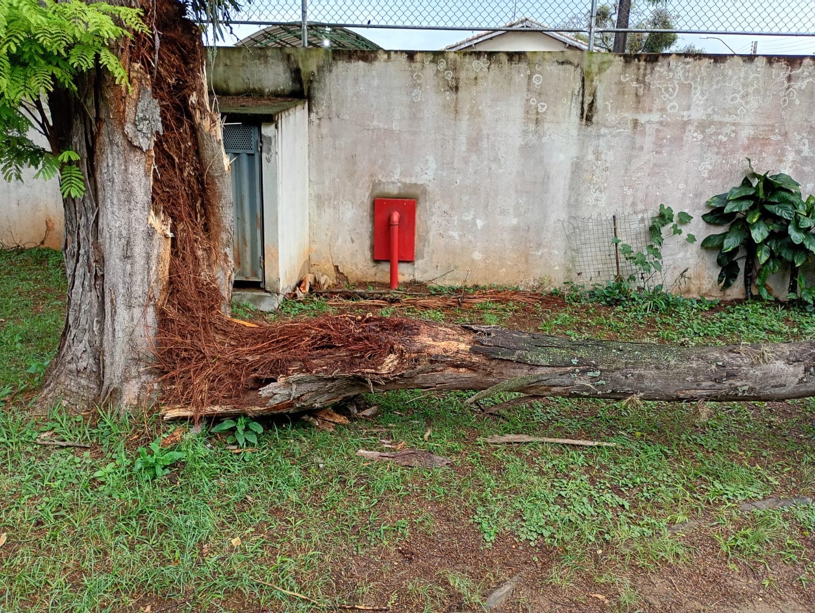Imagem 5 da matéria Vendaval e chuva deixam estragos em diferentes pontos de Avaré e mobilizam Defesa Civil