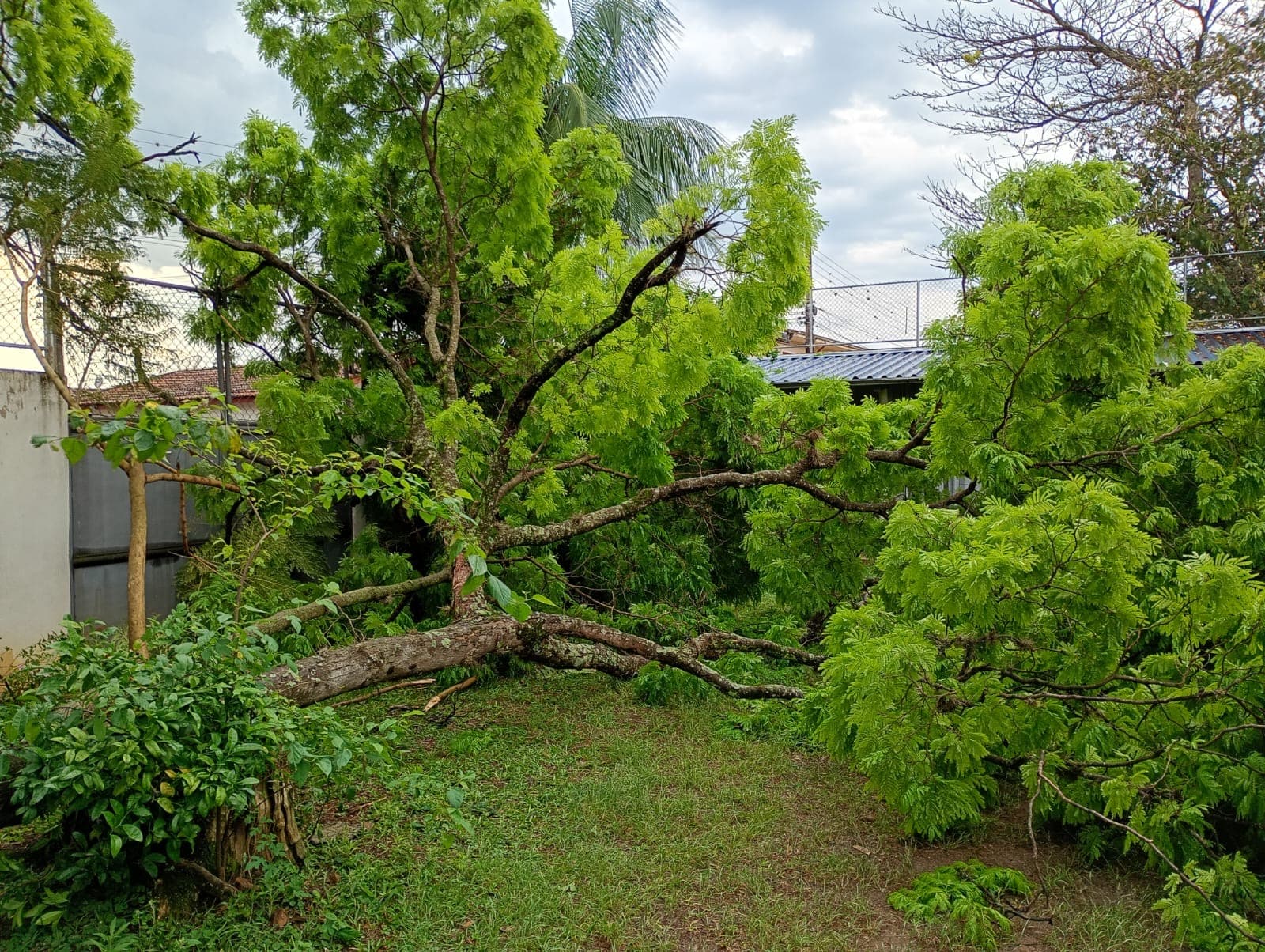 Imagem 6 da matéria Vendaval e chuva deixam estragos em diferentes pontos de Avaré e mobilizam Defesa Civil