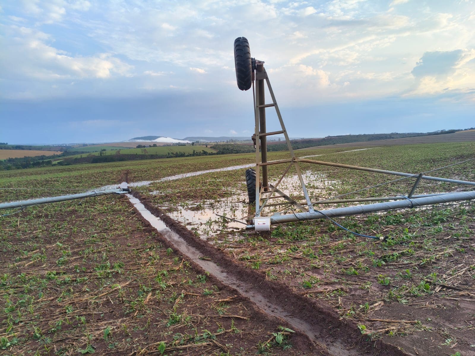 Imagem 7 da matéria Vendaval e chuva deixam estragos em diferentes pontos de Avaré e mobilizam Defesa Civil