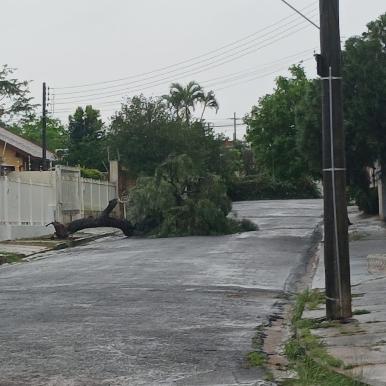 Imagem 3 da matéria A chuva que não dá trégua
