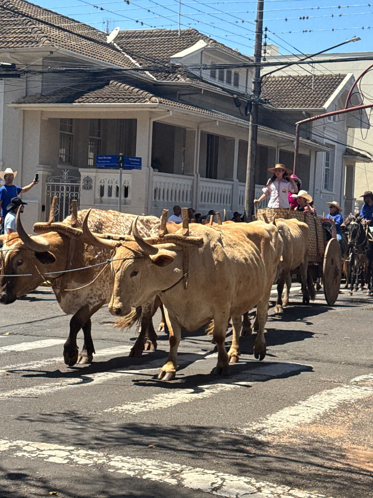 Imagem 2 da matéria Cavalgada da EMAPA reúne mais de 700 cavaleiros e amazonas em Avaré